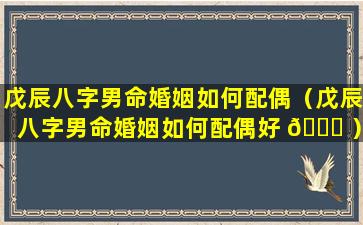 戊辰八字男命婚姻如何配偶（戊辰八字男命婚姻如何配偶好 🐕 ）